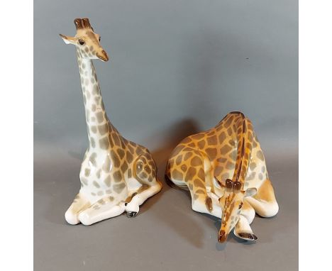 A USSR model of a giraffe, 29cm tall, together with another similar giraffe 