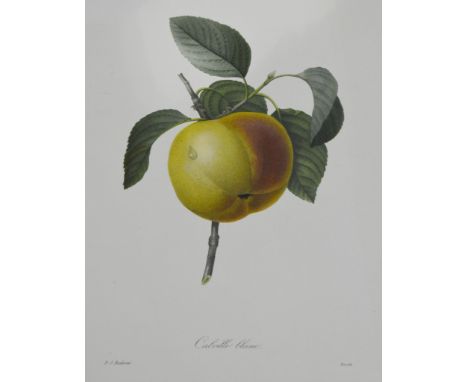 Quantity of small prints, botanical, also a folio of prints by Tunnyicliffe in association with the RSPB,