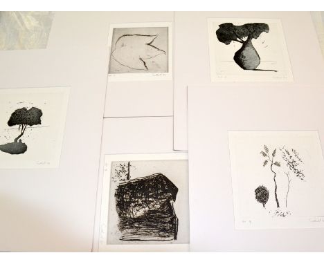 ANDREW SOUTHALL
VARIOUS WORKS X 5
The Stoneman Print Collection
Hugh Stoneman (1947-2005) was one of
the art world's most res