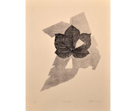 SARAH SINGER
10 VARIOUS ETCHINGS
The Stoneman Print Collection
Hugh Stoneman (1947-2005) was one of
the art world's most resp
