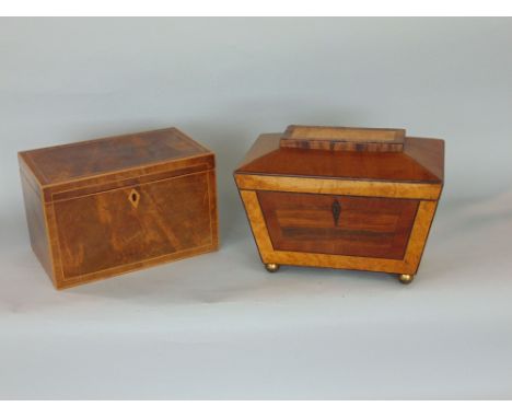 Georgian mahogany rosewood and satinwood sarcophagus tea caddy upon four brass ball feet, the hinged lid enclosing a two divi