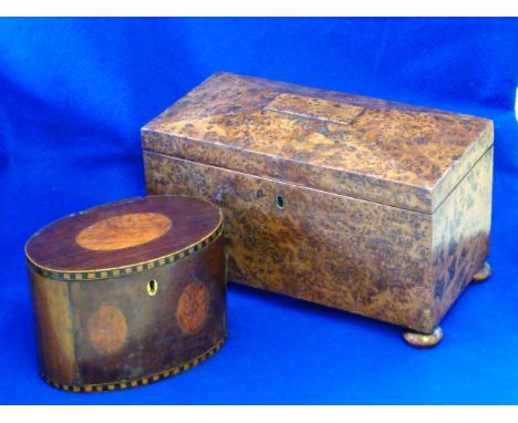An early 19th Century two division Tea Caddy on squat bun feet  (possibly mulberry?), 31cm, together with a smaller late 18th