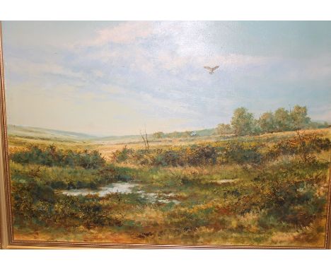 C Neil, British, contemporary, oil on canvas of a kestrel hovering above heathland, 70 x 90cm, signed l r