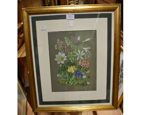 A pair of Victorian chromo lithograph pictures depicting wild flowers, signed HCC together with three Lepidopterology (Butter