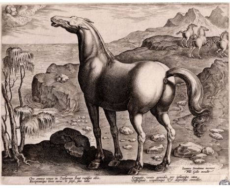 Hieronymus Wierix -Zephyrus fertilizes a mare - 1578  /  Description:  Zephyros, the West wind blows his breath from over the