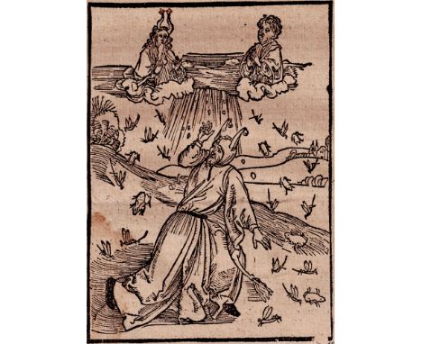 Albrecht Dürer - Fool with God's punishments - 1494  /  Description:  Original Dürer woodcut from 1494. De plaga &amp; indign