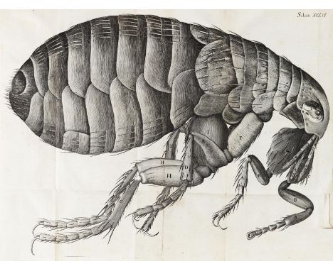 Hooke,R.: Micrographia: or some Physiological Descriptions of Minute Bodies made by Magnifying Glasses. London, John Martyn a