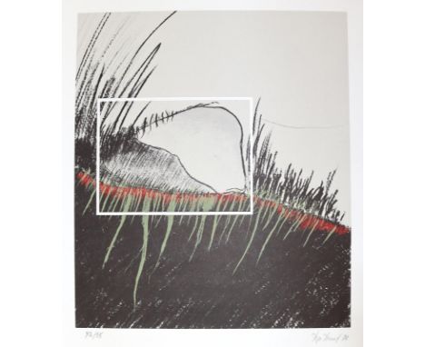 Hauf, Hans Peter: (1946 Trebur). Ohne Titel. Farblithographie, 1978. Ca. 32,5 x 28 cm. Unten mit Bleistift sign., dat. u. num