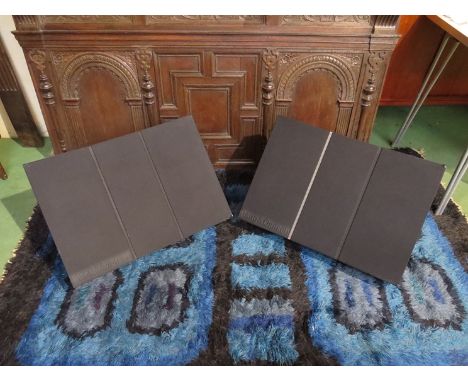 A pair of Redline Bang &amp; Olufsen RL140 speakers