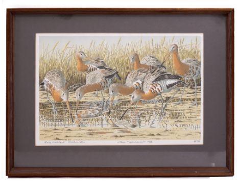 JOHN TENNENT Black tailed godwits, print, signed and dated 1975, titled and numbered 84/90 in pencil in the margin, 30.5cm x 