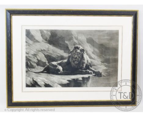 Herbert Dicksee (1862-1942), Etching, Lion by a lake, Signed in pencil, 49cm x 77.5cm, Framed and glazed Provenance: Yeaton P
