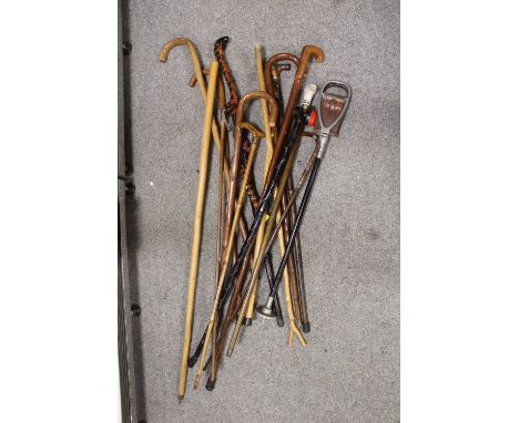 A COLLECTION OF VINTAGE AND MODERN WALKING STICKS TO INCLUDE A CARVED COBRA STYLE EXAMPLE, SHOOTING STICK ETC