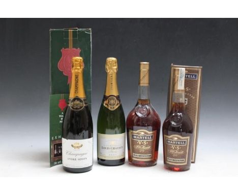 2 BOTTLES OF GROWER CHAMPAGNE, together with 2 bottles of Martell VS Cognac - one being a 1 litre example (4)