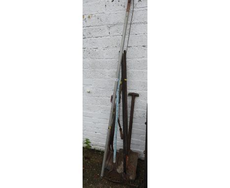 Quantity of Garden Tools 
