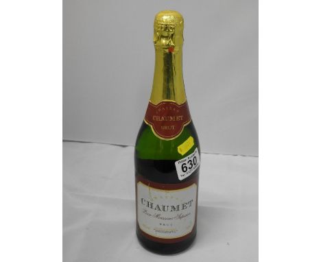 Bottle of Sparkling Wine 