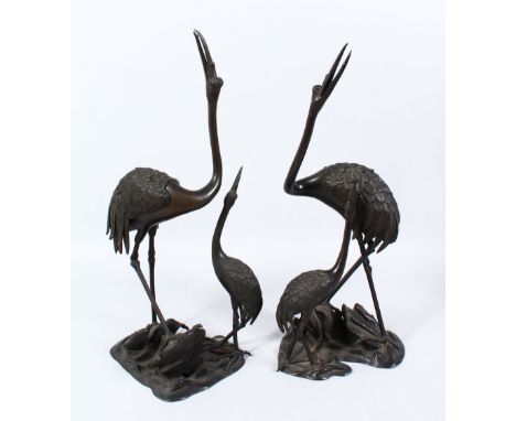 A PAIR OF JAPANESE MEIJI PERIOD BRONZE KORO FIGURES OF MANCHURIAN CRANES, the figures stood upon rocky outcrops with their he