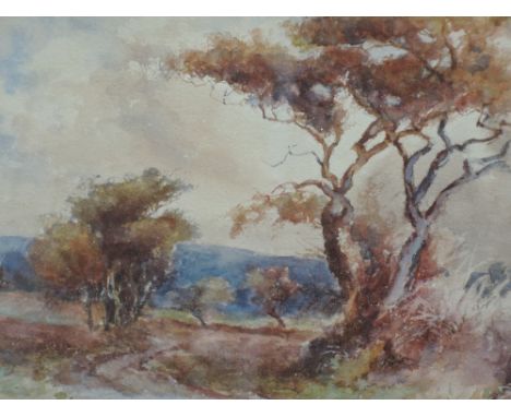 A watercolour, R C Riseley, country landscape, signed and dated 1912, 9in x 13in