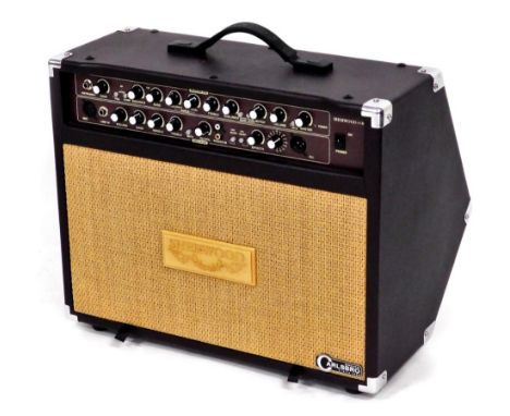 A Sherwood XTR acoustic guitar amplifier, with effects, in purple with mesh speaker front, with wire, 50cm wide.