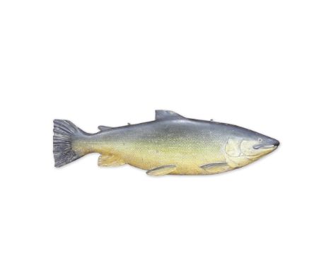 An early 20th century half block model of a salmonWith original hand painted colours, and carved as swimming from left to rig