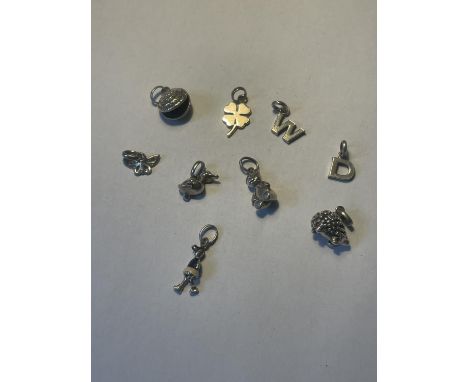 NINE SILVER CHARMS 