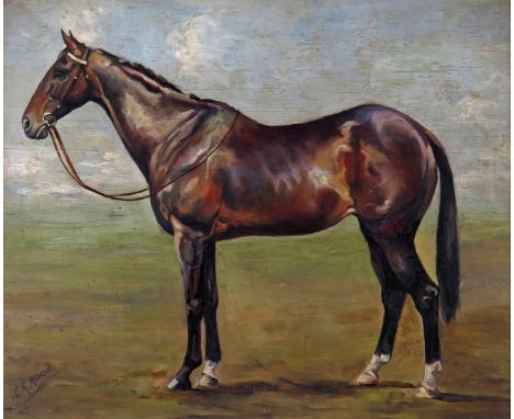 ‡ E. R. Hood (early 20th Century) A racehorse in a landscape Signed Oil on panel 33 x 40.5cm ++Some visible faint linear hor