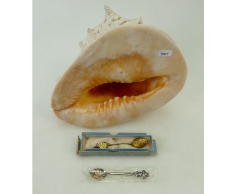 A mixed collection of items including large conch shell, Rolex commemorative spoon and similar Canadian item
