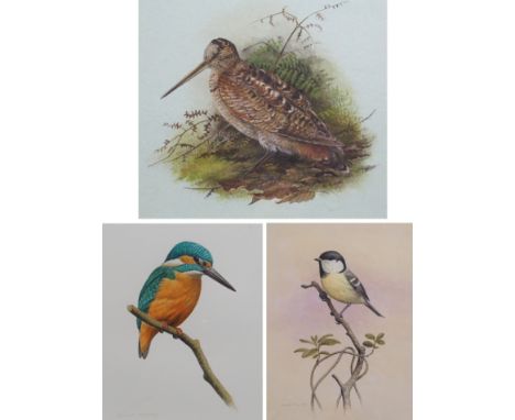 •SIMON TURVEY SWLA (British b. 1957) KINGFISHER; COAL TIT K MARGARET INSH WOODCOCK Watercolour and gouache, signed, 17 x 14cm