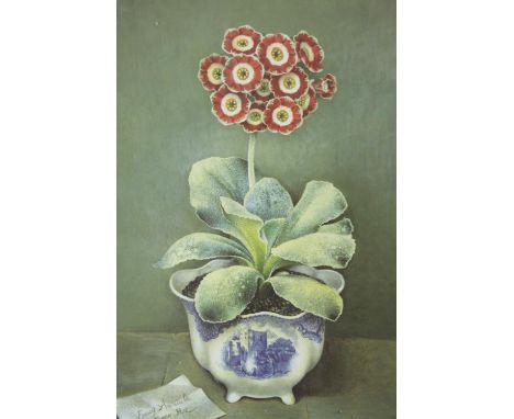 Print. Fancy Auricula Green Bee. Signed indistinctly and printed in a limited edition of 500 copies. Framed and glazed.  H.57