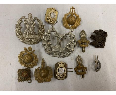 A COLLECTION OF BRITISH ARMY BADGES, TO INCLUDE ROYAL MARINES ETC 
