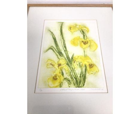 I.G. Erskine, Yellow Flags, North Uist, limited edition print, 13/50, signed in pencil bottom right (33cm x 25cm)