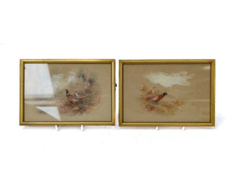 James Stinton (1870-1961) Royal Worcester ArtistPheasants in woodlandSigned, watercolour heightend with white, together with 