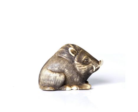 an antique, Japanese, bone or antler netsuke, depicting a wild boar.  Size 4 cm