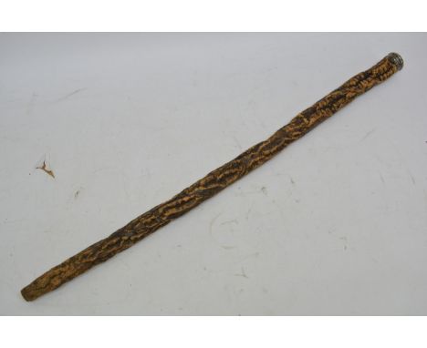 A rare cork walking stick with white metal top.