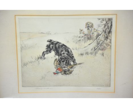 A framed limited edition 19/45 Engraving, dipicting a gun dog collecting a phesent by Henry Wilkinson (1921-2011) signed in p