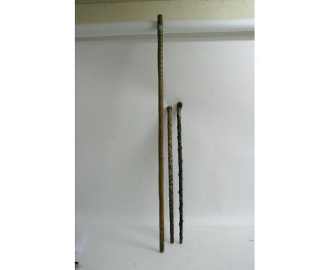 Vintage scoutmasters stick with carved scouts motto and metal badge and two other walking sticks