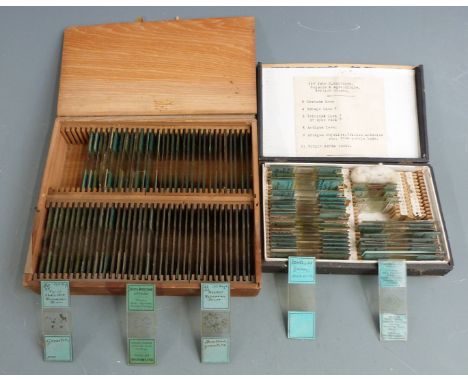 Two cases of microscope slides, approximately 100 in total, one set marked Voigt &amp; Hochgesang Gottingen and annotated ver