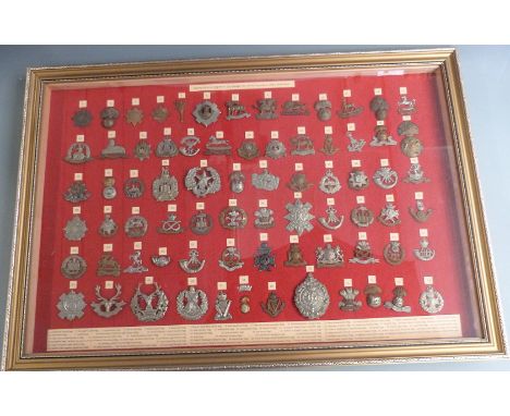 Seventy-four British Army WW1 Guards and Infantry cap badges displayed by order of precedence including Grenadier Guards, the