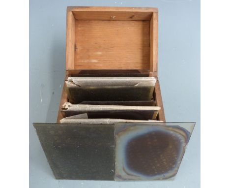 Wooden case of 12 photographic glass slides of microscope subjects, some dated 1914, each approximately 11x8cm