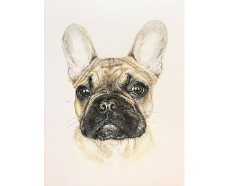 PET PORTRAIT Lucy Frearson's ability to capture the personality of the pets she draws is outstanding. Bid for a drawing of so