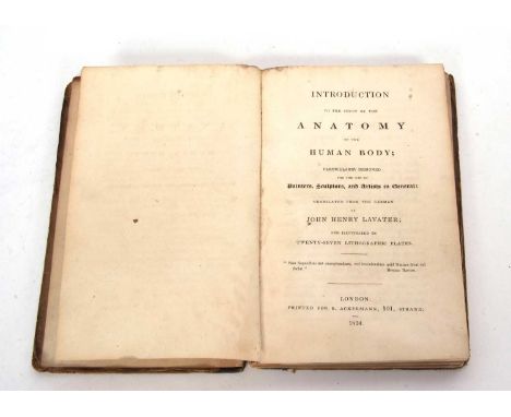 "Introduction to the Study of the Anatomy of the Human Body; particularly designed for the use of Painters, Sculptors and Art