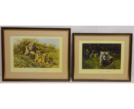 David Shepherd (British 1931-2017): 'Cool Tiger' and 'Young Africa', two limited edition colour prints signed and numbered in