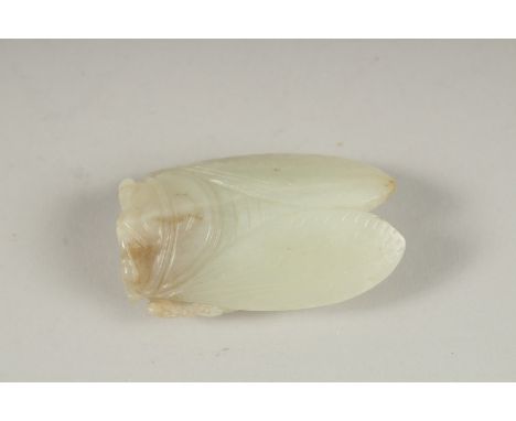 A GOOD CHINESE CARVED JADE LOCUST, 5cm x 3cm.