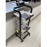 NEWSPAPER STANDS