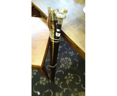 A collection of various walking sticks together with a shooting stick.
(R15)