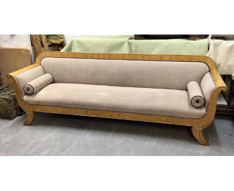 Very large 19th century Continental Biedermeier maple veneered sofa, with scrolled arms and stuffover upholstery on splayed s