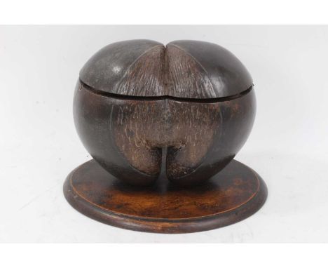Antique coco-de-mer presented as a tea caddy, the large nut with hinged cover enclosing interior fitted with twin compartment