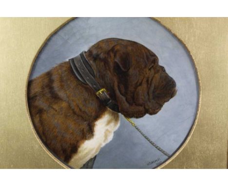 C. M. Hill, Edwardian oil on canvas - portrait of a Bulldog, tondo, signed and dated 1907, in gilt frame, 28cm