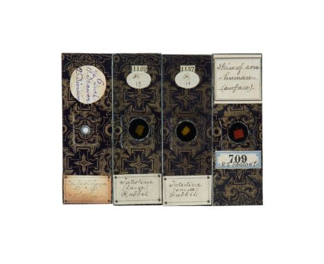 A Collection of Four Microscope Slides By R. J. Farrant,with his recognisable paper lable to the front and rear including; a 