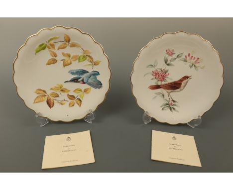 Four Royal Worcester "The Birds of Dorothy Doughty" collectors' plates, boxed, 23 cm, (free of damage)