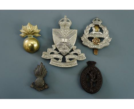 Sundry British army cap badges including Royal Marine Artillery, Edinburgh University OTC, War Economy plastic Royal Signals 